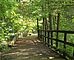 Footfall Monitoring in National Parks Without Power or Internet