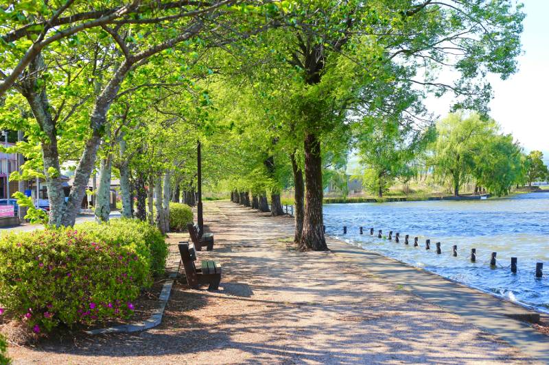 Kävijälaskenta ilman sähköä tai internetiä. Käytännöllisiä SensMax-ratkaisuja.