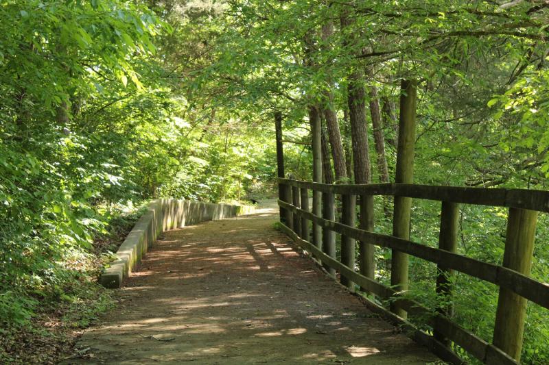 Footfall Monitoring in National Parks Without Power or Internet